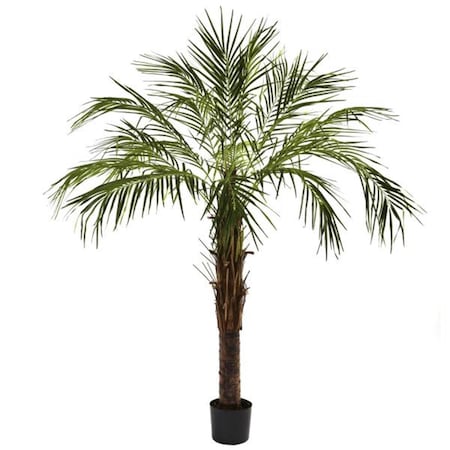Dare2Decor 6&rsquo; Robellini Palm Tree DA409415